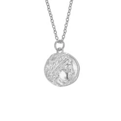 Apollo Necklace – Silver