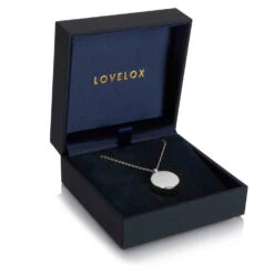 Round Urn Ashes Necklace – Silver -Fashion Accessories DCPD 1780 SS in box 1