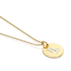 Engraved Zodiac Personalised Necklace – Gold -Fashion Accessories Disc Engraved Zodiac flat full gold
