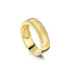 Double Crystal Band Personalised Ring – 18K Gold Plated Solid Silver -Fashion Accessories Double Crystal Band Side2 Gold