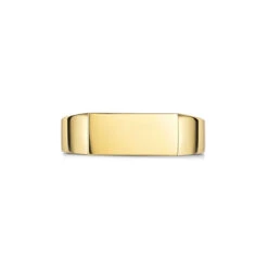 Slim Rectangular Personalised Signet Ring – 18K Gold Plated Solid Silver -Fashion Accessories Slim Rectangular Signet Ring Front Blank Gold