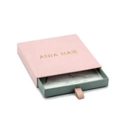 Ania Haie Sun Engraved Necklace – Silver -Fashion Accessories ania haie box open 3