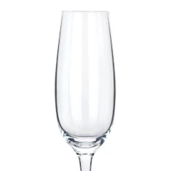Luigi Bormioli Italian Allegro Champagne Glass -Fashion Accessories italian champagne glass engraved